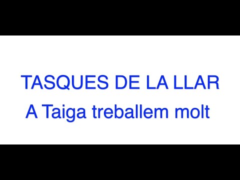 Vídeo: Per què és important fer les tasques de la llar?