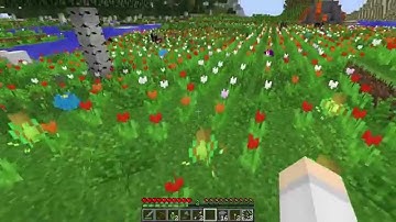 Bevo Tech Pack SSP - Ep 1 - Fields of Tulips