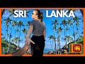 Viens dcouvrir avec nous le sri lanka  