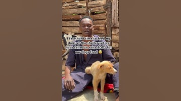 Please consider donating via our PayPal link in bio with any amount you can afford❤️‍🩹🥹🙏