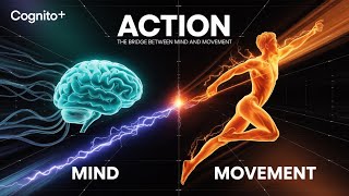 The Power of PURPOSE: How Your BRAIN Plans and Controls Every ACTION