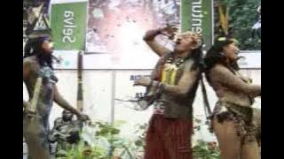 Download lagu CHICHA LOCA DESDE PUYO - PASTAZA - AMAZONIA ECUADOR