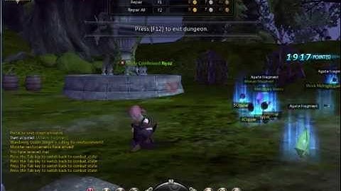 Assassin class gameplay Shadow forest core master mode Dragon