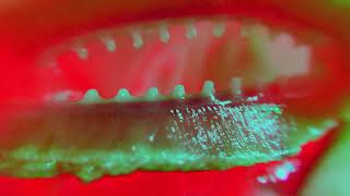 roh 2020 abstrakter Kurzfilm von Diana Stoll