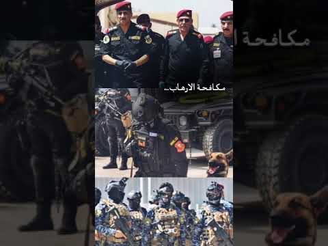 راسة الزامط رد مامش