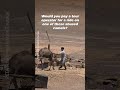 Planning a Camel Ride in Morocco? Watch This First 💔🐪