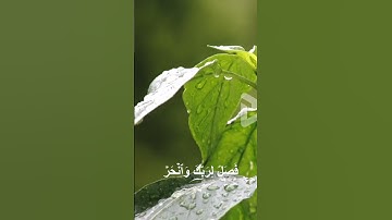 سورة الكوثر | تلاوة خاشعة تريح القلب 🌿💖🎧