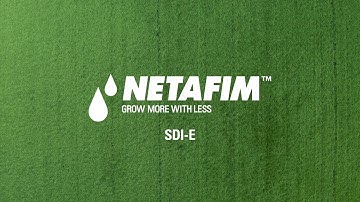 Drip for Dairy Farmers: Effluent Subsurface Drip Irrigation (SDI-E) system for Dairy Forage.