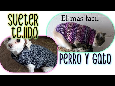 Video: Cómo Tejer Un Suéter Para Un Gato