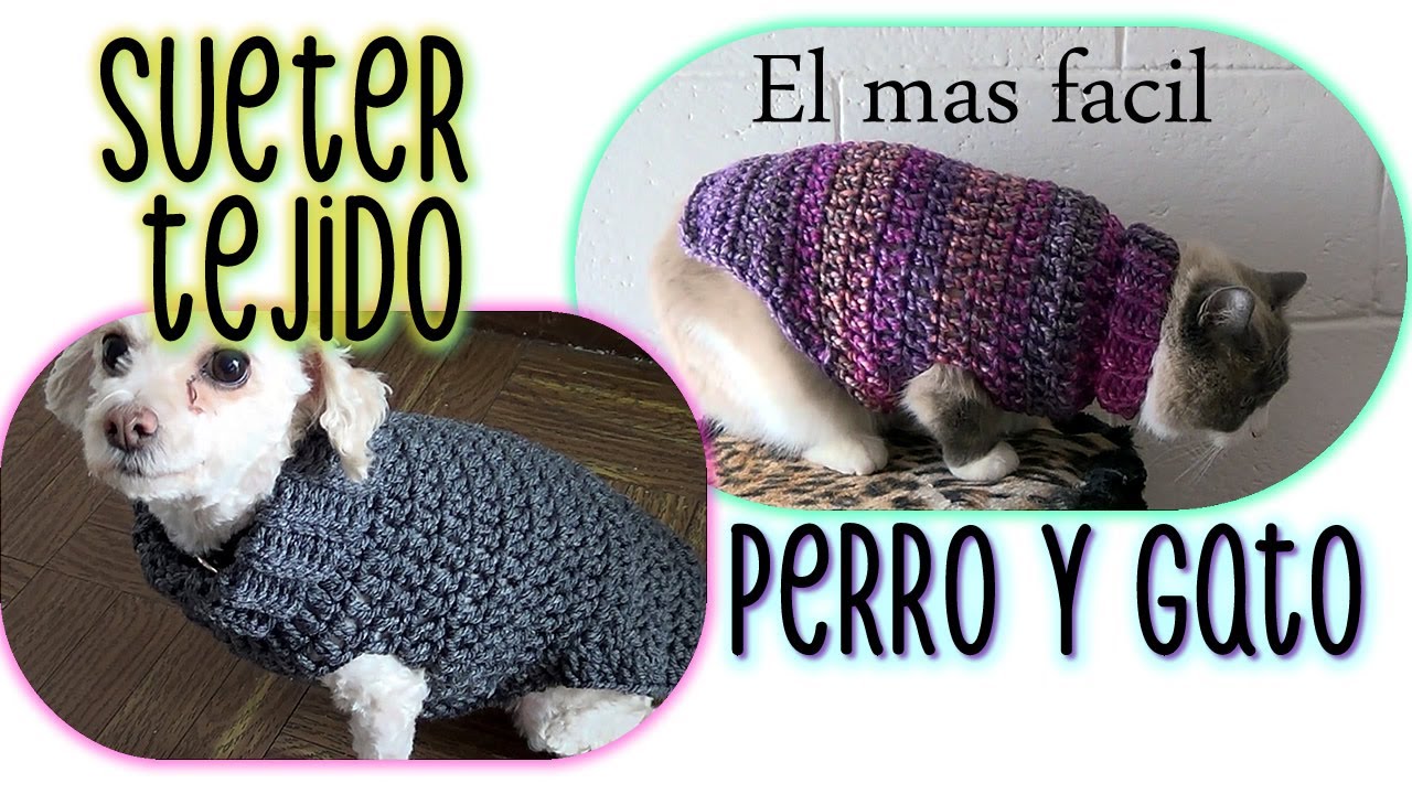 SUETER TEJIDO para PERRO o FACIL el MAS FACIL de - YouTube