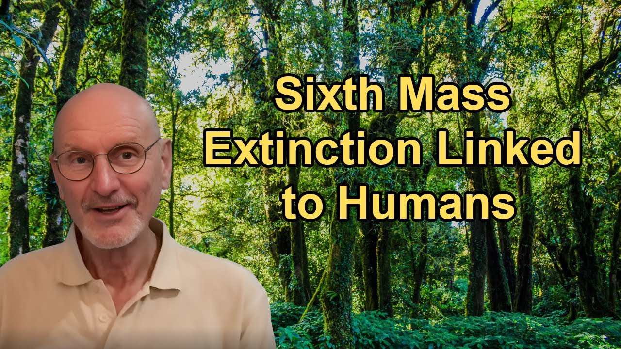 The Sixth Mass Extinction and Its Link to Human Activity and Habitat ...