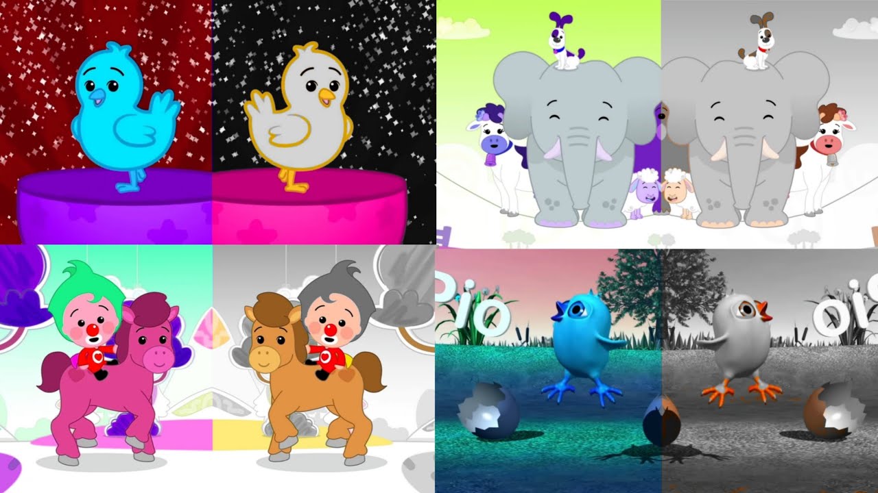 Plim Plim Abre Sorpresa Pollito, Animals Happily Dance, Are Cava Takkbakk & El Globito Pioo(4Effect)