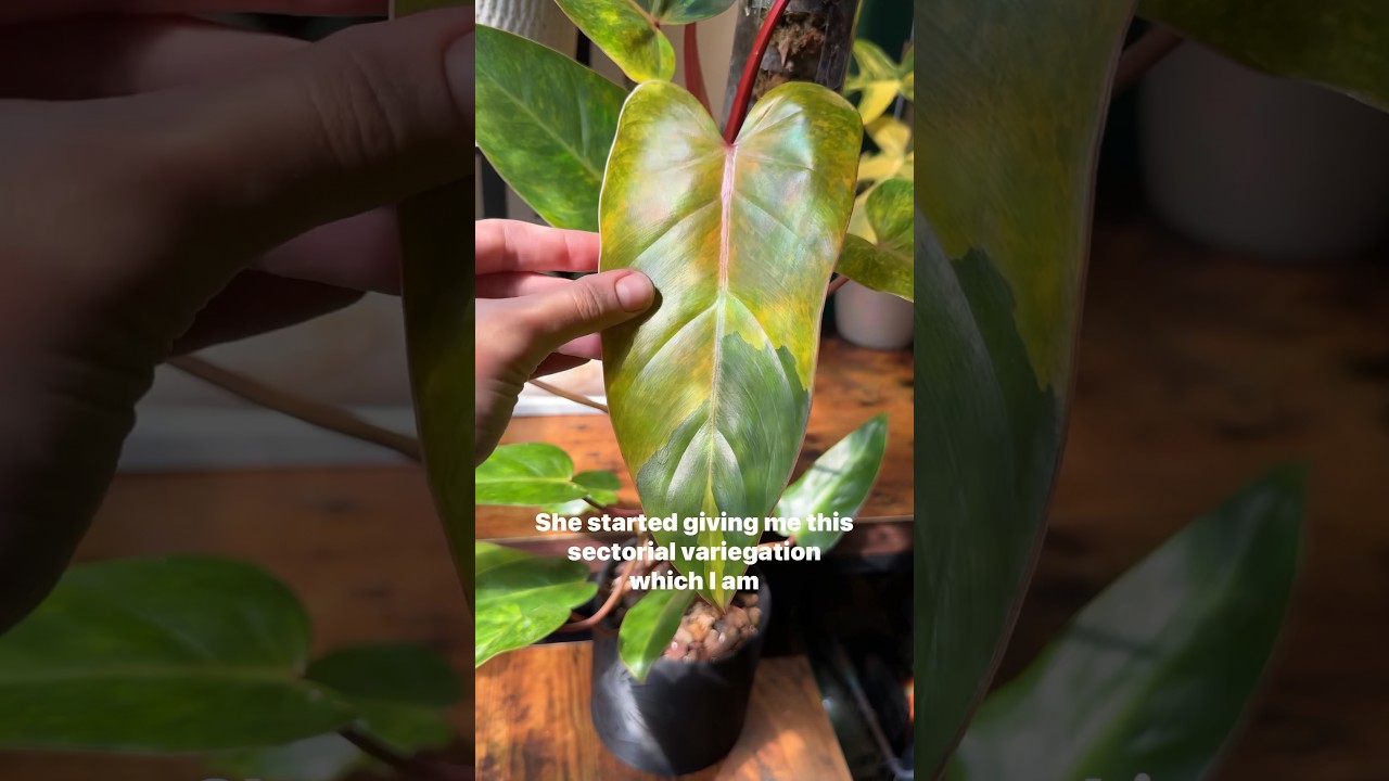 The glow up was real 🙌 