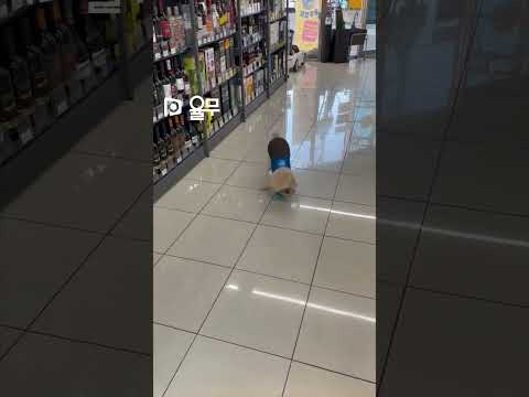 분리수거 달인!~