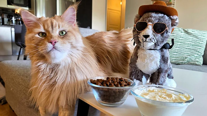 Watch the video about Buster and the Mysterious Guest!