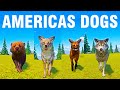Americas Dogs Category Speed Race in Planet Zoo included Coyote , Bush Dog, Maned Wolf, Timber Wolf