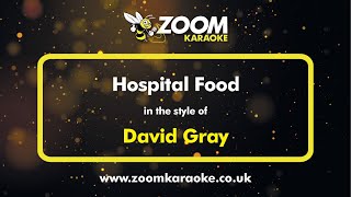 David Gray - Hospital Food - Karaoke Version from Zoom Karaoke