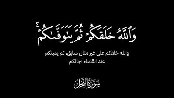 تحبير خاشع وأداء آسر للشيخ ياسر الدوسري من سورة النحل كروما سوداء - والله خلقكم ثم يتوفاكم