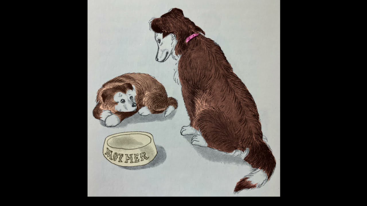 The Puppy Who Wanted a Boy (Full Cast Audio)