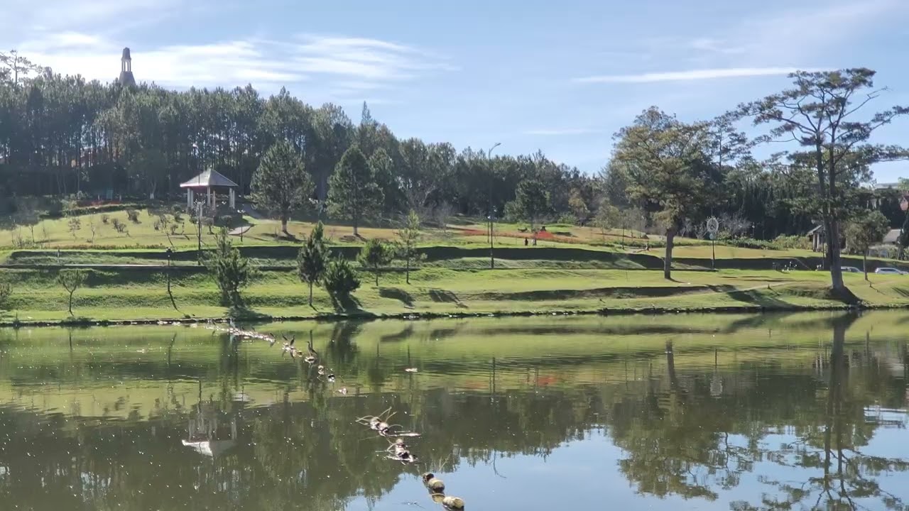 Peaceful Lake View with Birds & Blue Sky | 51 Min Virtual Window for Study & Focus | Oppa Toai