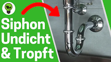 Wie bekommt man einen Siphon dicht?