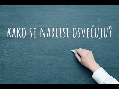 Video: Ispovest Pedesetogodišnjeg Narcisa