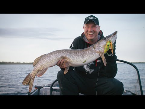 Видео: Кога да използвате Topwater примамки за бас