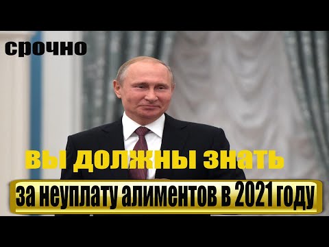 Какая и когда наступает ответственность за неуплату алиментов в 2021 году