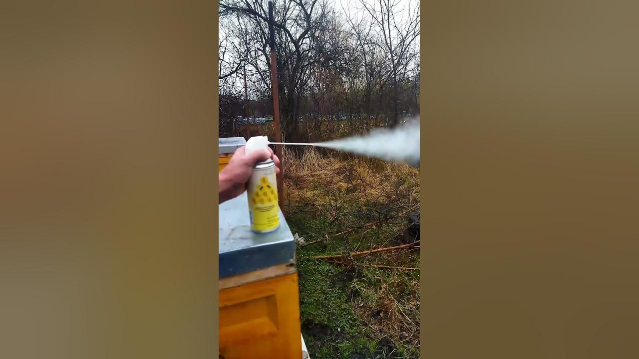 Как работает препарат Апизоль(средство для борьбы с клещом Варроа ...