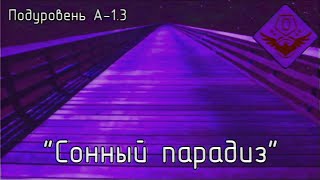 Подуровень А-1.3 - "Сонный парадиз" (The Backrooms)