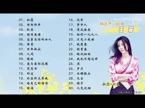 天后【王菲】经典好听的音乐合集 带歌词版