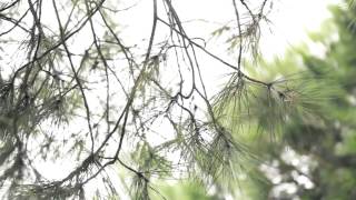 Macson Autumn Winter 2013 2014