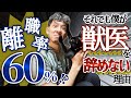 動物病院は超ブラック!?獣医師の光と闇を大暴露します【保護犬、保護ねこ】