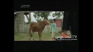 Download lagu Iklan Marjan 2013 Part 1