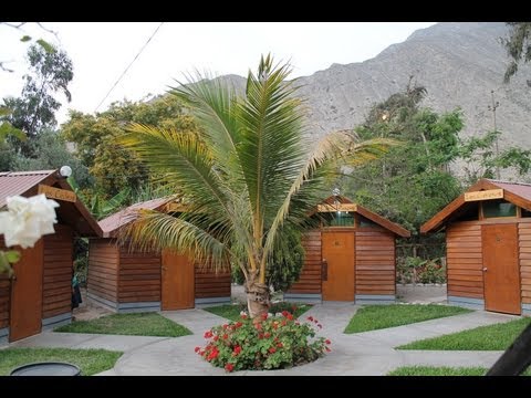 IPUP Las Flores - YouTube