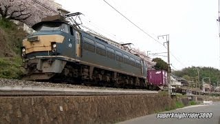 JR貨物 EF66 36号機+コキ12B 貨物列車95レ 西広島→新井口 2014.4