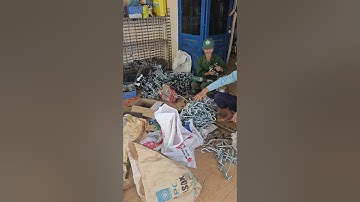 SẢN XUẤT CON LĂN RÒNG RỌC CHO CÁC FARM CHUỐI: xin liên hệ MR Hồng Kỳ 0977192466