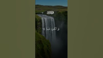 آيات بينات من الذكر الحكيم بصوت رائع جدا ❤ #القرآن_الكريم #المصحف #اكسبلور