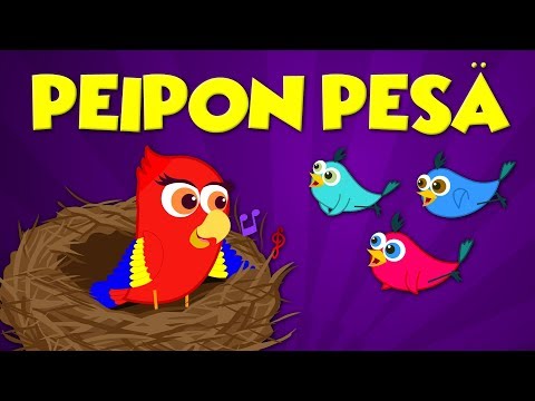 Video: Pesä