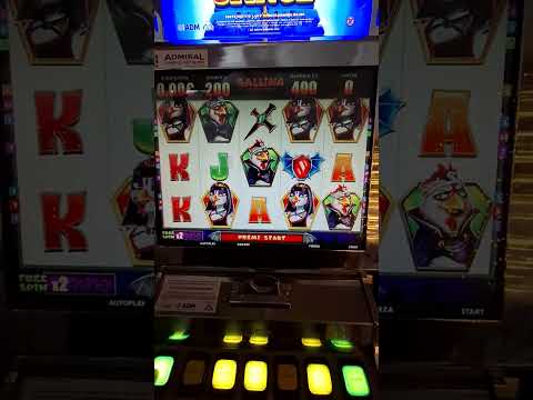 Giocare al Casinò Online in Italia: Scopri le Migliori Slot Machine su CasinSlotsangels