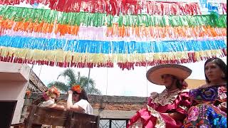 FIESTAS DE AYOTLAN JALISCO  MOJiGANGAS