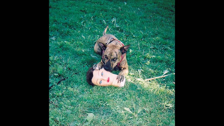 Joyce Manor - Angel In The Snow