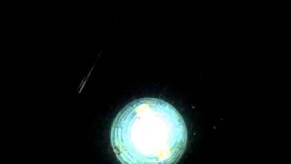 集魚灯の灯りに近寄るシラスウナギ