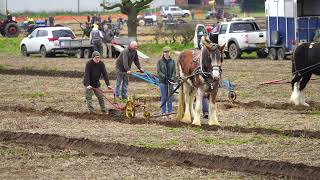 north notts spring plough match 2026 horses at work