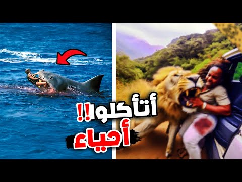 أخطر هجمات الحيوانات المفترسة