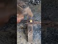 Forging Fire: The Art of the Hand-Forged Nail