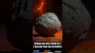  HUMAN DNA FOUND IN A 2-BILLION-YEAR-OLD METEORITE?