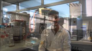 ENSTBB 4-Upstream process