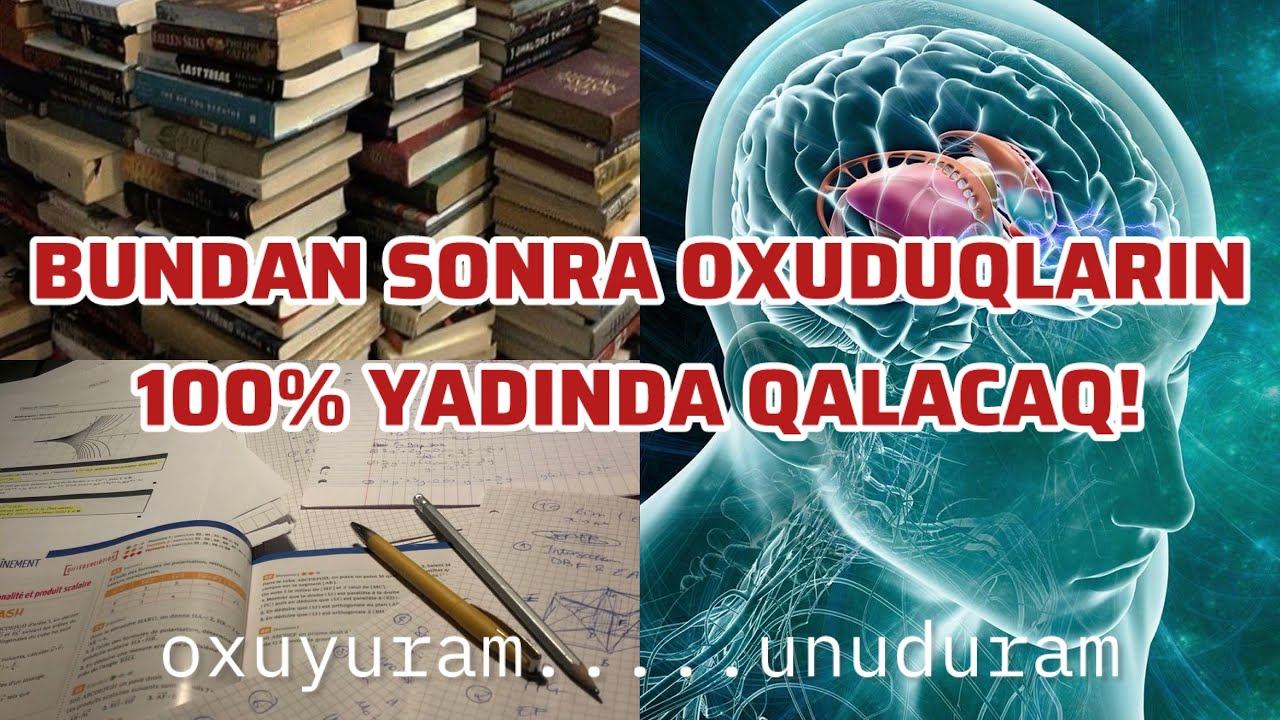 OXUDUQLARINI NECƏ YADINDA SAXLAYA BİLƏRSƏN? | Elmi sübutlu-Mütləq İzlə📊🧠