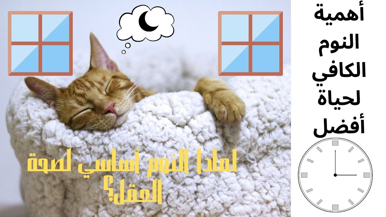 أهمية النوم الكافي لحياة أفضل